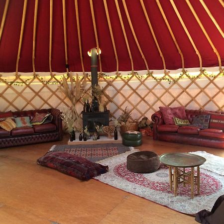 Silver Airstream Glamping & Rental Chichester Eksteriør billede