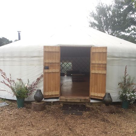 Silver Airstream Glamping & Rental Chichester Eksteriør billede