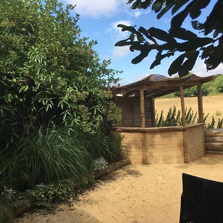 Silver Airstream Glamping & Rental Chichester Eksteriør billede