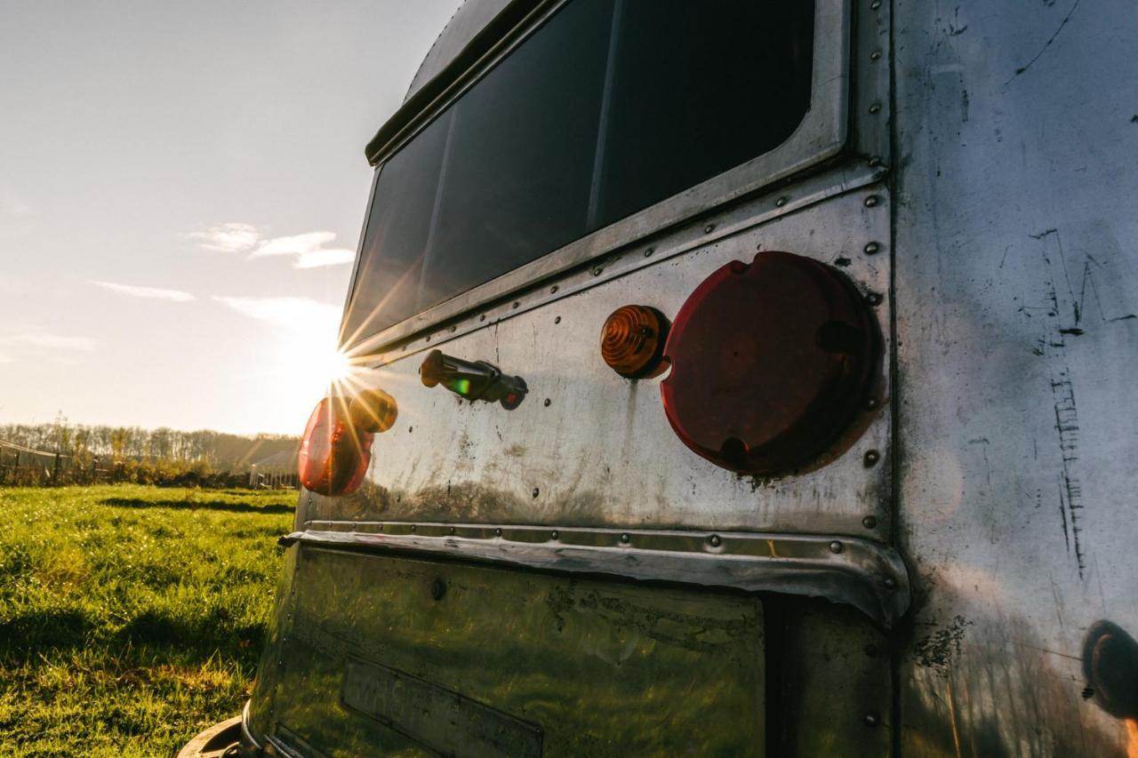 Silver Airstream Glamping & Rental Chichester Eksteriør billede