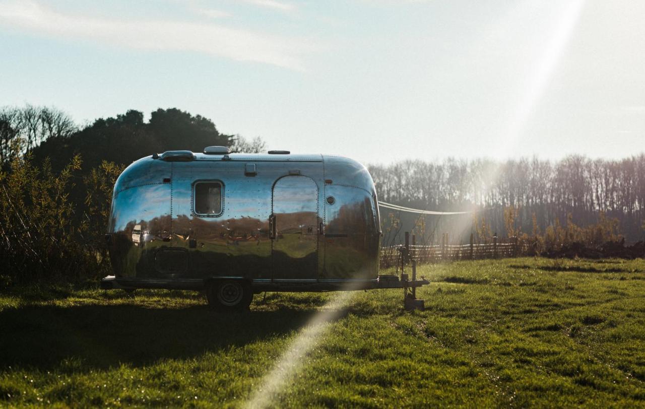 Silver Airstream Glamping & Rental Chichester Eksteriør billede