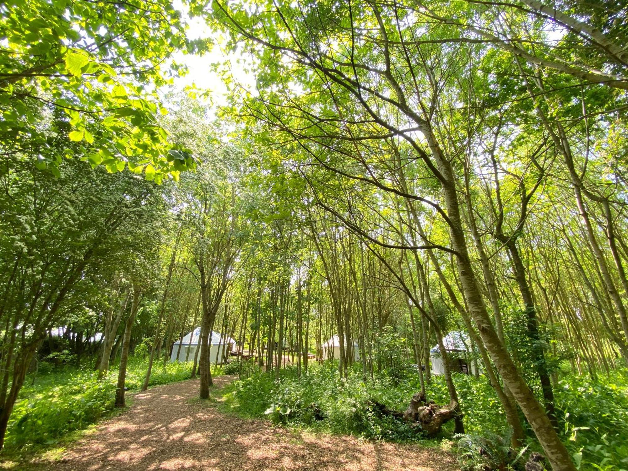 Silver Airstream Glamping & Rental Chichester Eksteriør billede